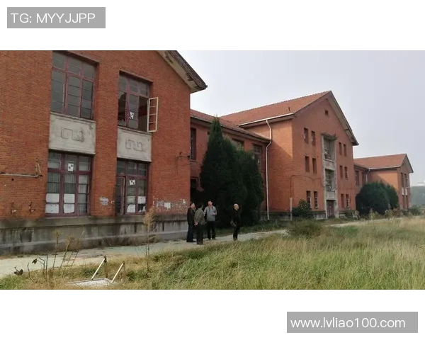 足球巨星魅力四射插画漫画集展现球场英姿与风采